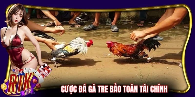 Cược đá gà tre theo chiến thuật để bảo toàn tài chính