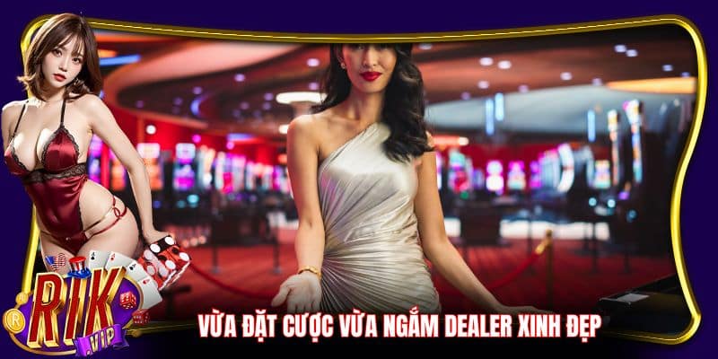 Vừa đặt cược vừa ngắm dealer xinh đẹp